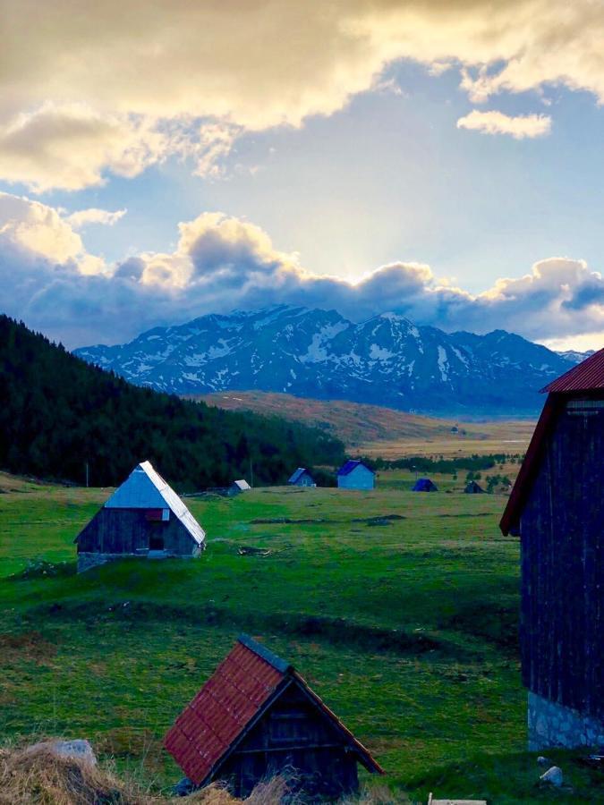 Eco Village Pavlovic Žabljak Exterior foto